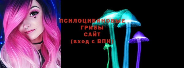 стаф Баксан