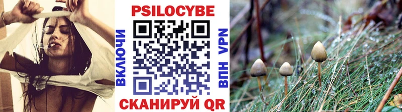 darknet как зайти  купить  сайты  Пенза  Галлюциногенные грибы прущие грибы 